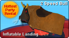 Mechanical Bull Ride Rental for your Wedding Reception or Party