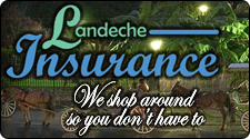 Landeche Insurance - Metairie
