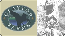 Clayton Farms - Louisiana Hunting Club