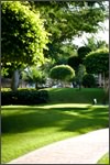 New Orleans Landscaping Contractors