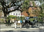 French Quarter Carriage Tours