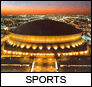 New Orleans Sports, Saints Guide